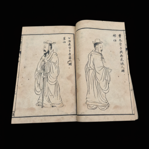 libro Chino de PINTURA , siglo XIX , periodo guangxu