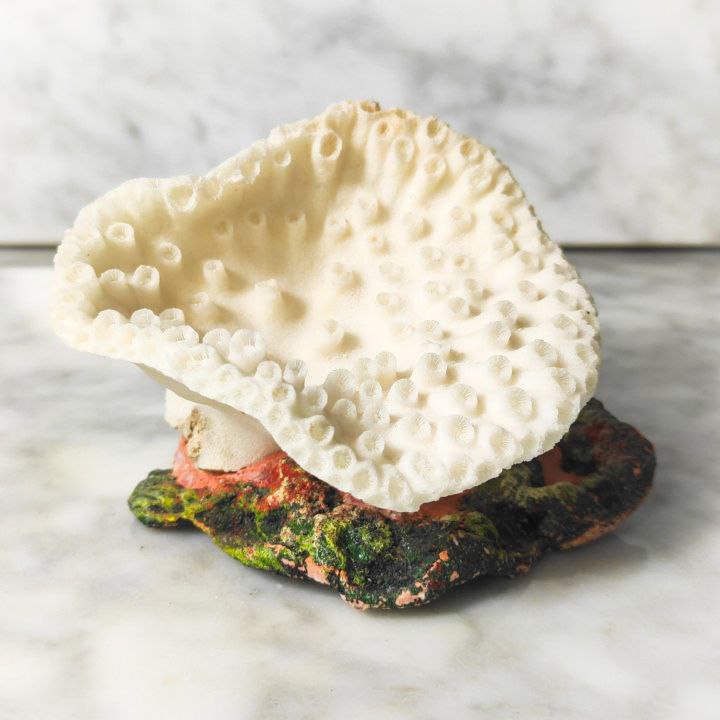 Coral Blanco Artificial