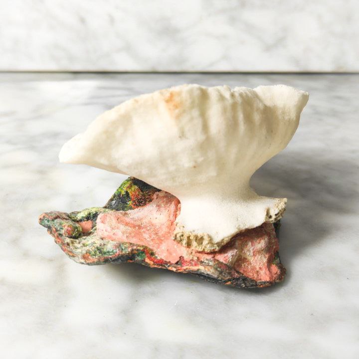 Coral Blanco Artificial