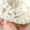 Coral Blanco Artificial
