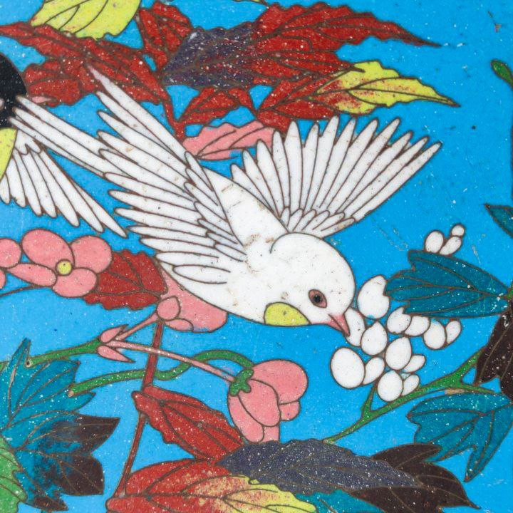 Plato Japonés de Cloisonné Periodo Meiji (1868-1911)