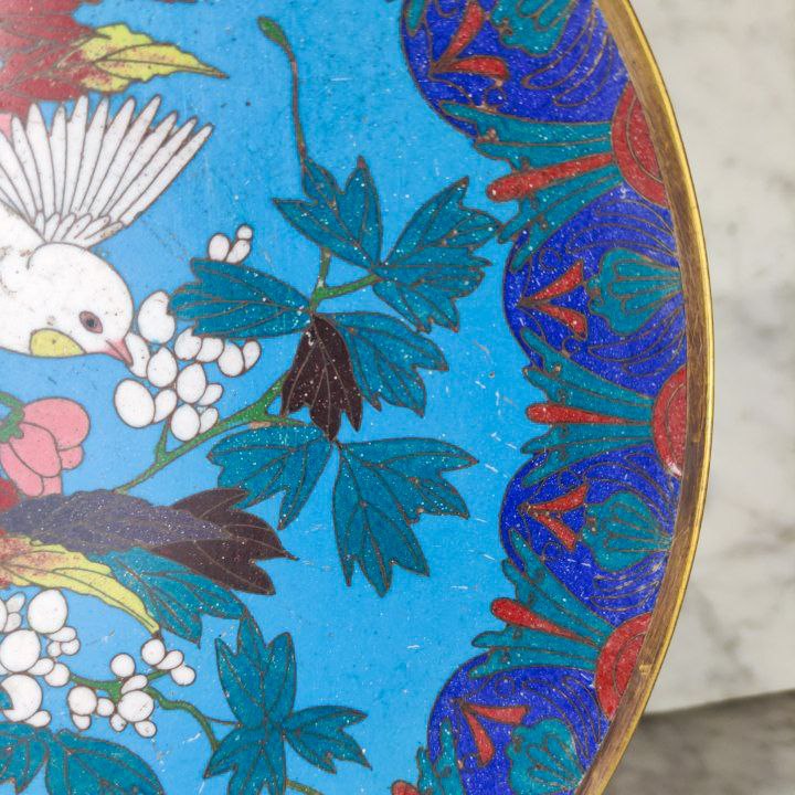 Plato Japonés de Cloisonné Periodo Meiji (1868-1911)