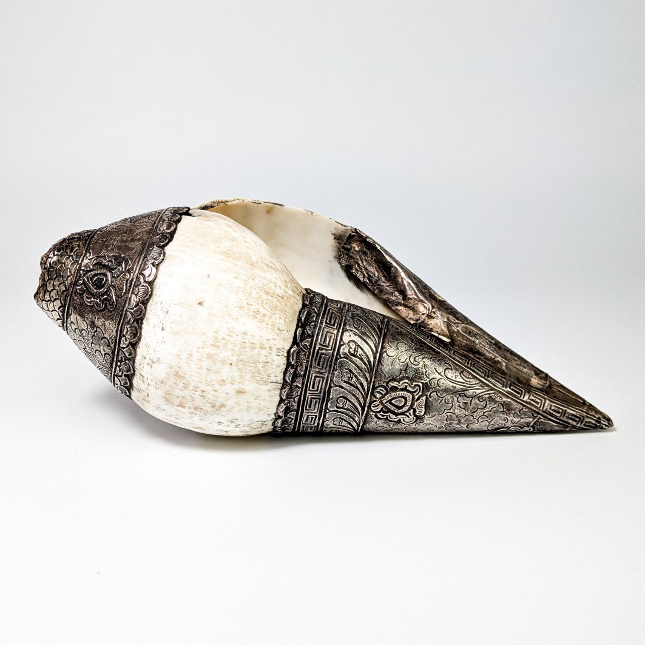 Concha Ceremonial tibetana Shanka con Plata  c.1880