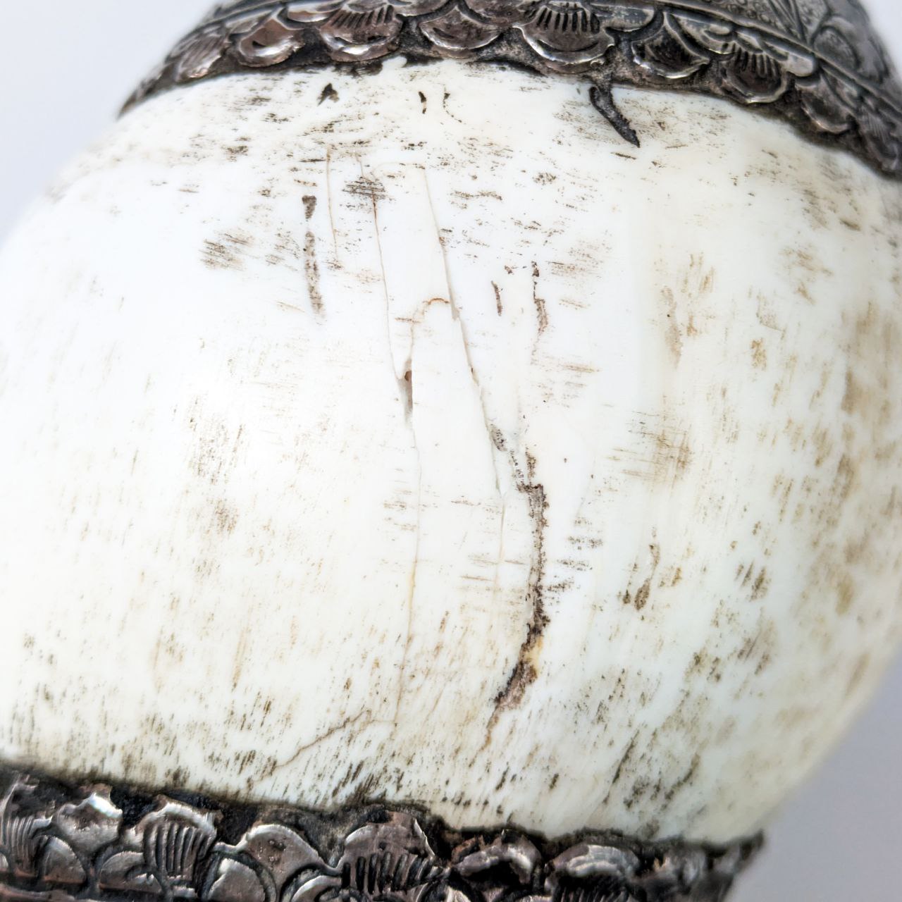 Concha Ceremonial tibetana Shanka con Plata  c.1880