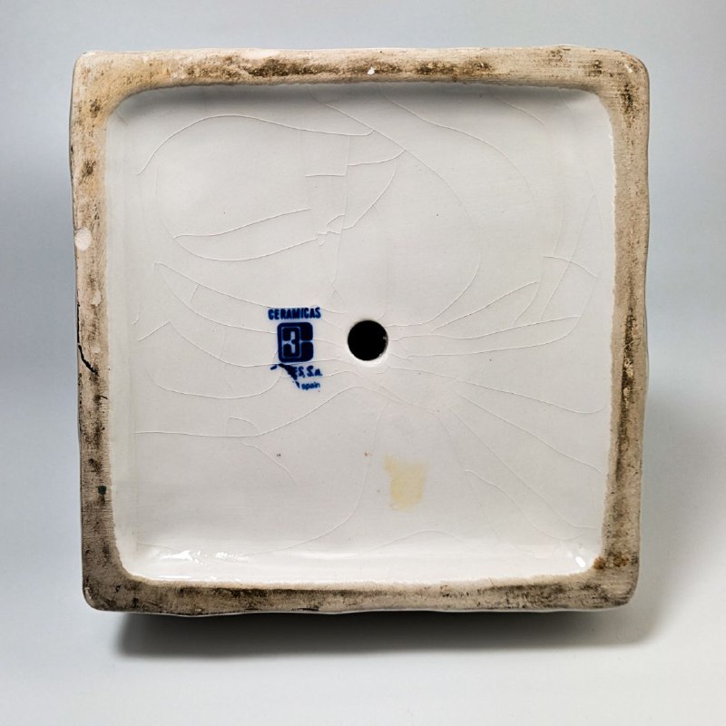 Busto de Guliano de Medicis de Cerámica