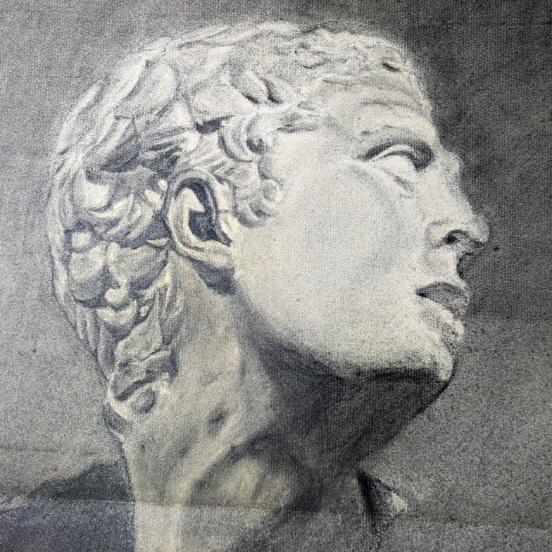 Dibujo de Busto de Guiliano Medici de Artista Barcelonés Ramón Martí