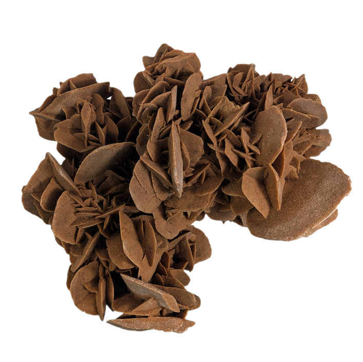 Gigante Rosa del desierto calidad Museo, peso de 10kg