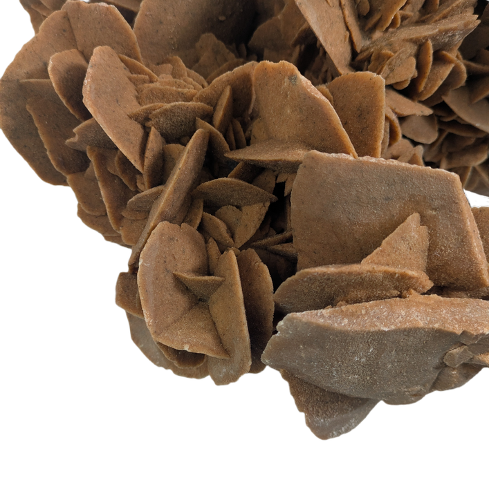 Gigante Rosa del desierto calidad Museo, peso de 10kg