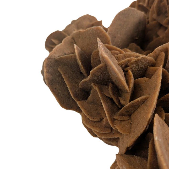 Gigante Rosa del desierto calidad Museo, peso de 10kg