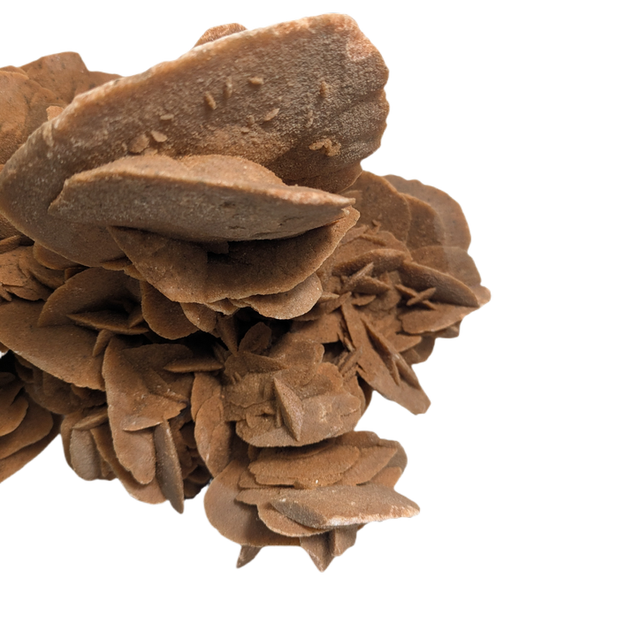 Gigante Rosa del desierto calidad Museo, peso de 10kg