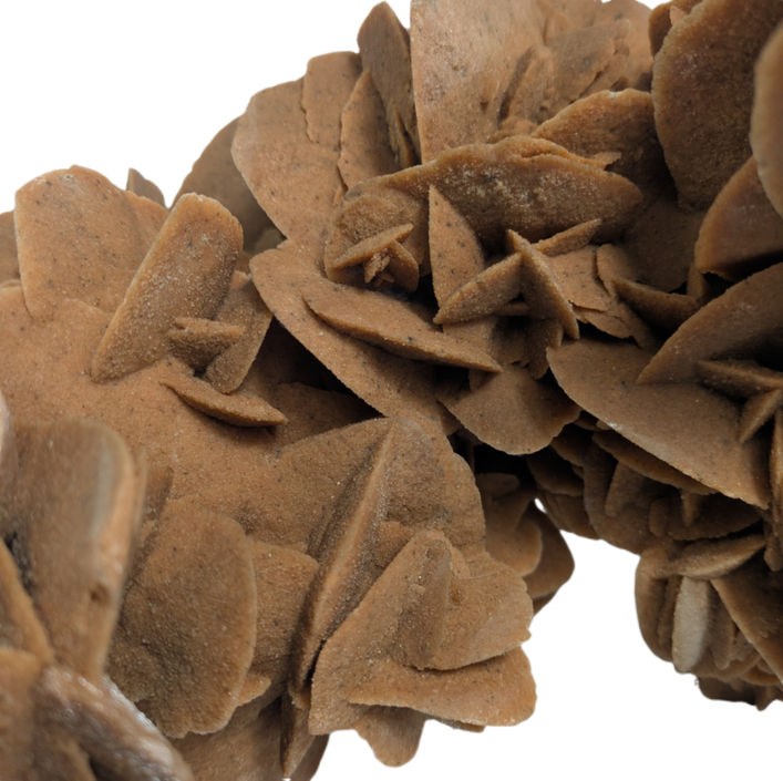 Gigante Rosa del desierto calidad Museo, peso de 10kg