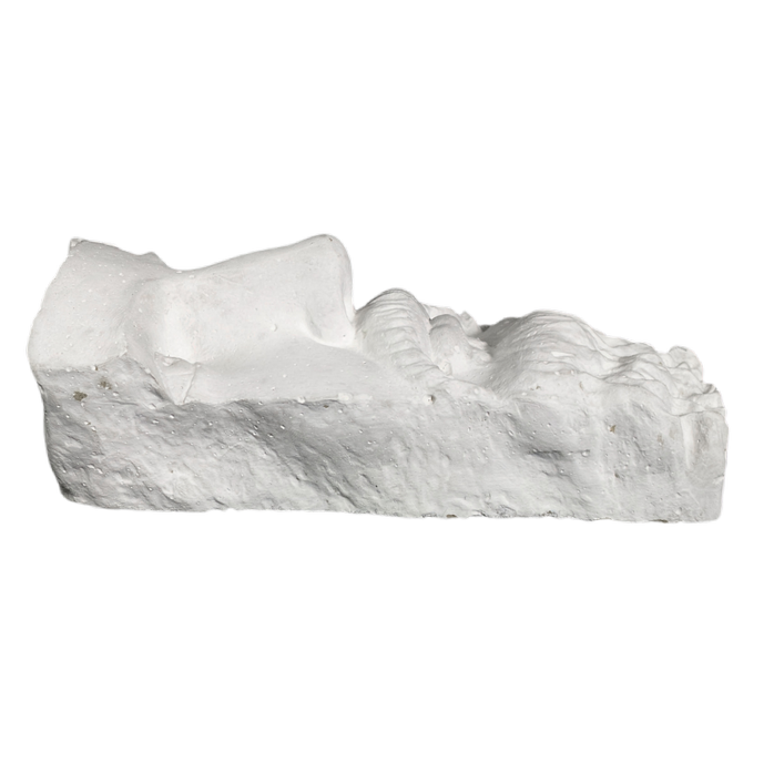 LOTE000625_04-1.png Escultura de estilo griego de Cara de Prometeo