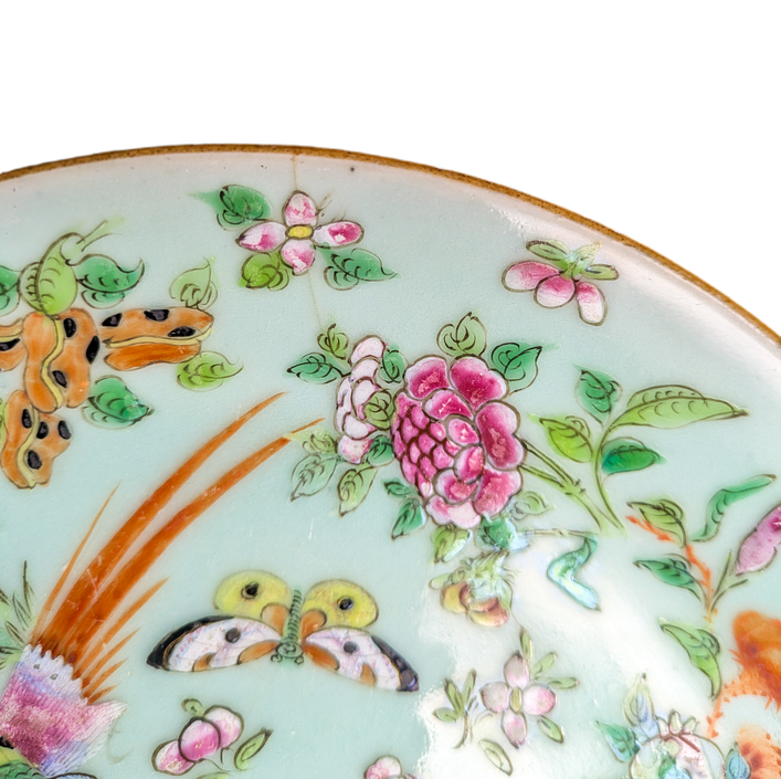 LOTE000690_03-1.png Plato Chino Celadón Dinastía Qing, Daoguang (1821-1850)